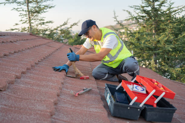 Best Roof Gutter Cleaning  in Cinco Ranch, TX